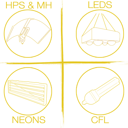 Les conseils - Grow Light