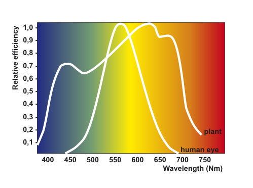 Ampoule de lumière de croissance à spectre de lumière rouge avancé