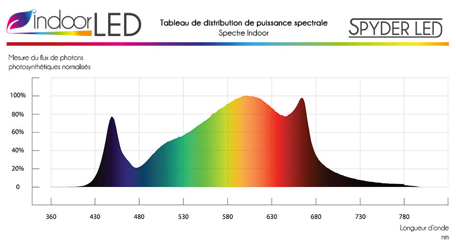 spectra-tarantula-refait-indoorled_1.jpg