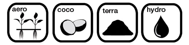 resine plus