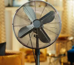 Consejo de los fans