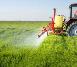 Consejos sobre el agua y los fertilizantes