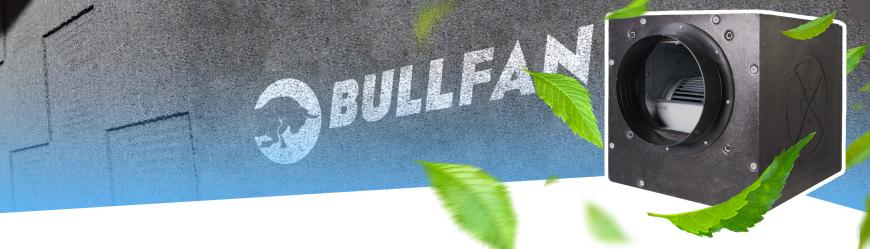 Bull Soft